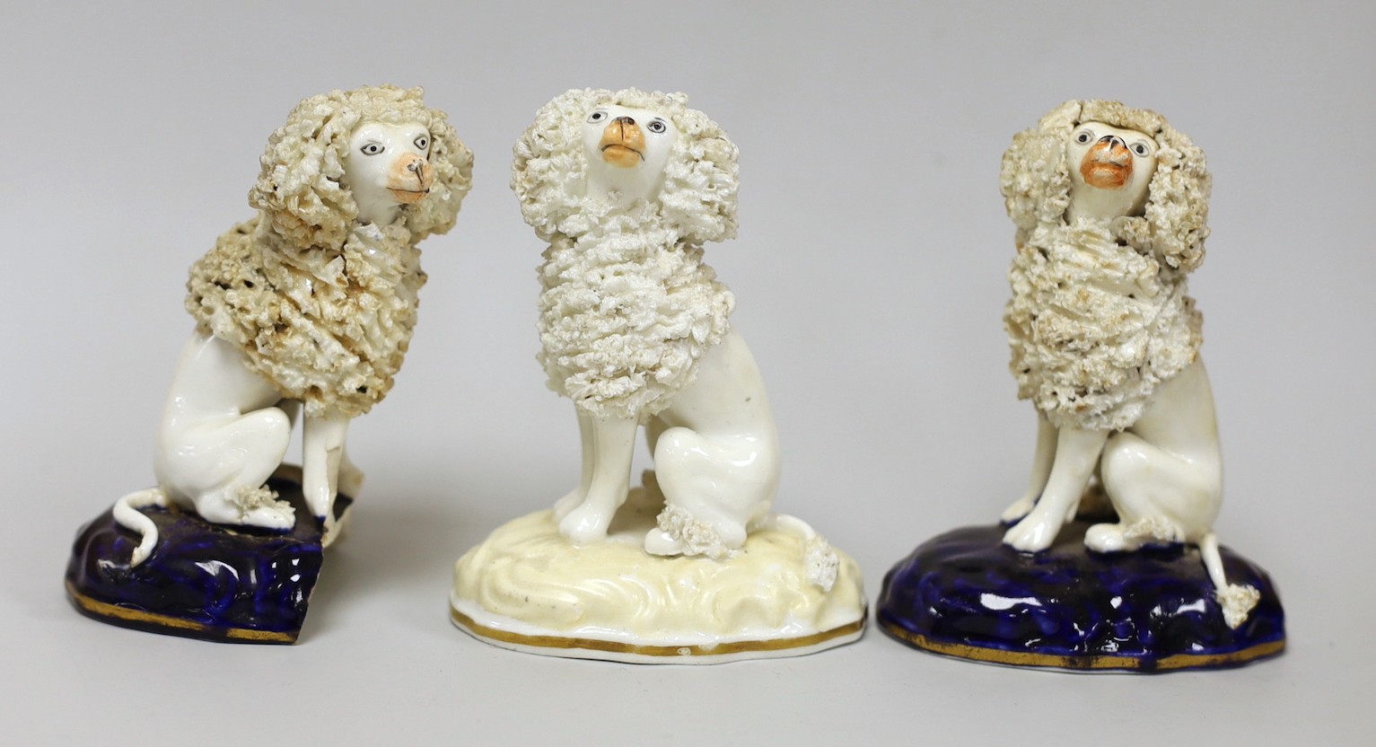 Three small Samuel Alcock models of seated poodles, c.1830-50, tallest 9cms high, Provenance: Dennis G.Rice collection